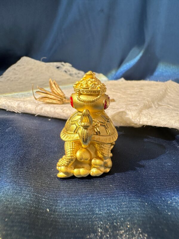 聚寶盆龍龜：圖片 2