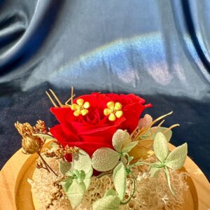 磨砂雞蛋花耳針