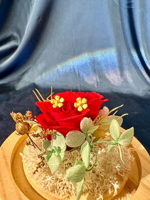 磨砂雞蛋花耳針